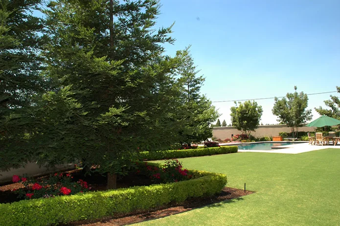 Conventional Formal by Plant Systems Landscape - Photo 6