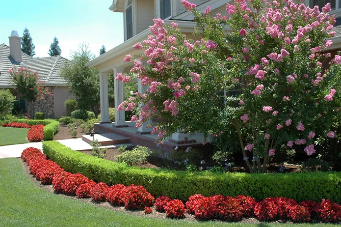 Conventional Formal by Plant Systems Landscape - Photo 2