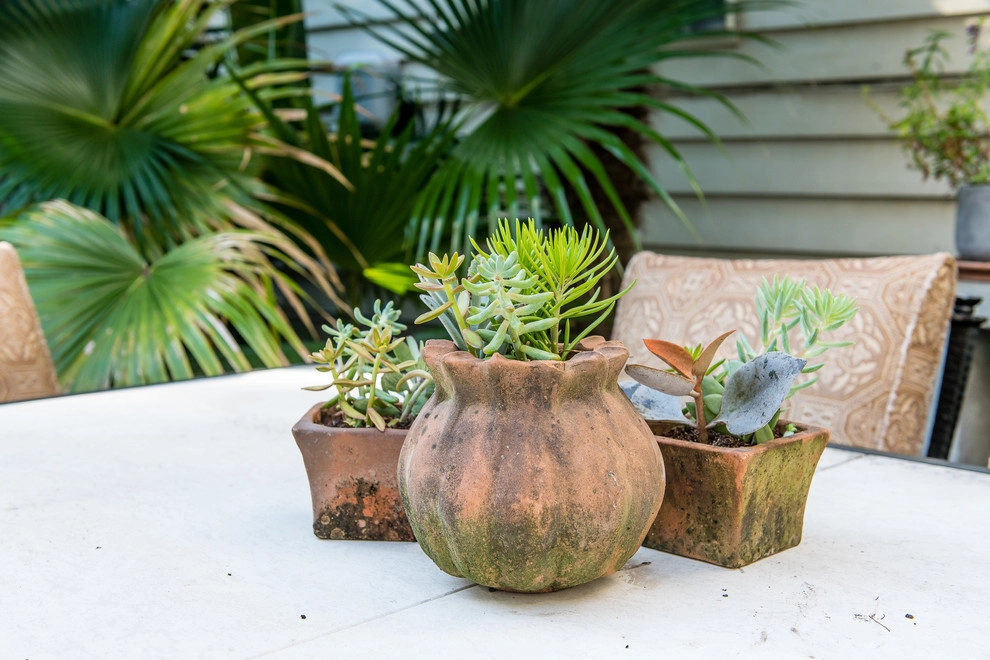 Subtle Elegance by Carolina Landscape, Inc. - Photo 5