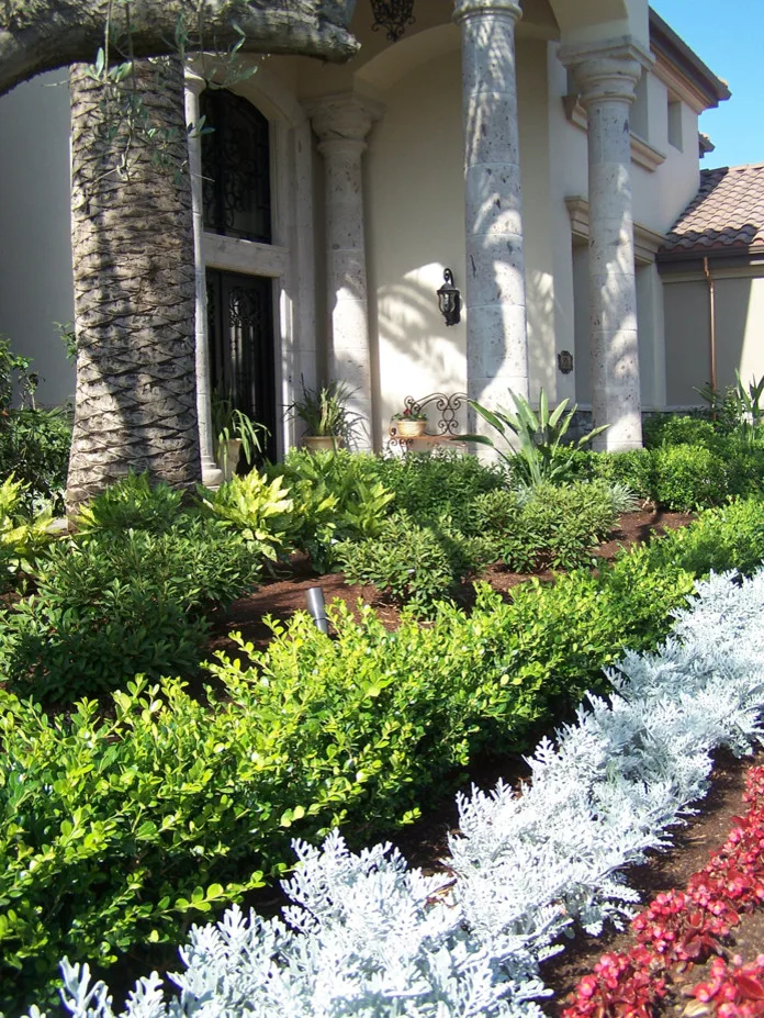 Tropical Paradise by Plant Systems Landscape - Photo 6