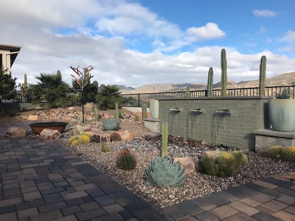 Tucson's Winter Magic by Santa Rita Landscaping, Inc. - Photo 7