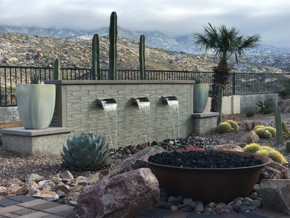 Tucson's Winter Magic by Santa Rita Landscaping, Inc. - Photo 5