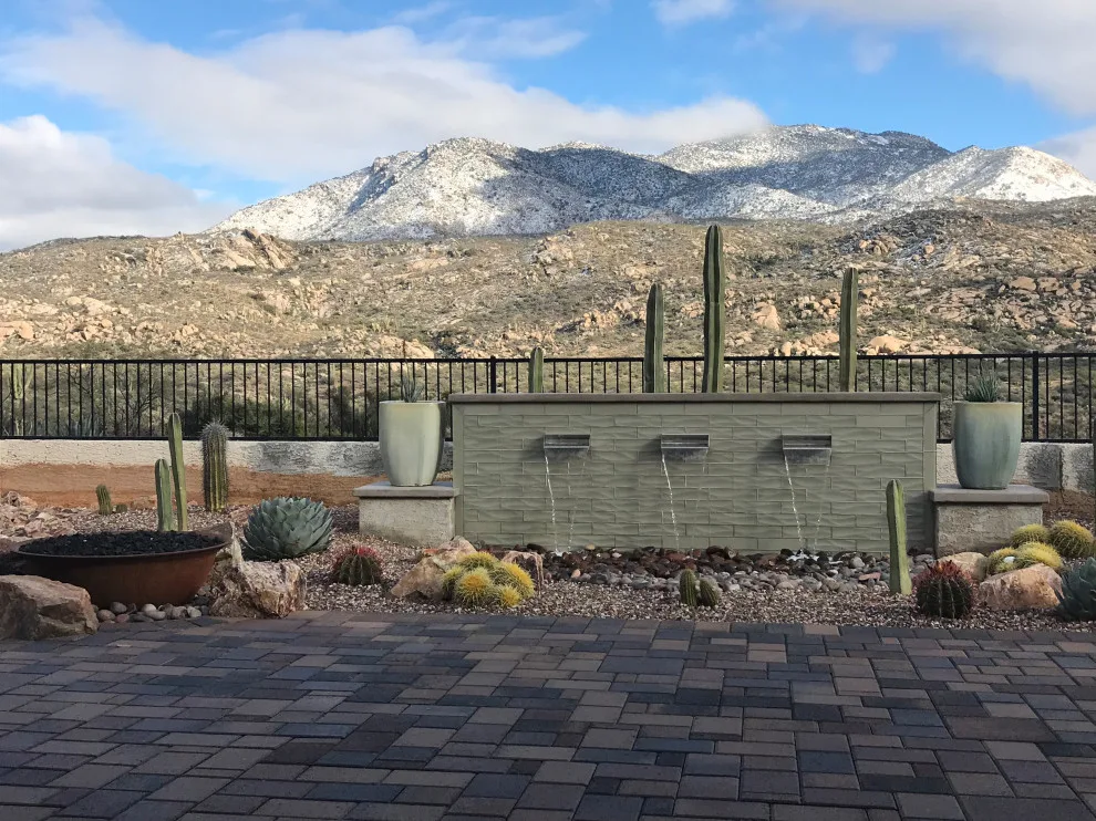 Tucson's Winter Magic by Santa Rita Landscaping, Inc. - Photo 3