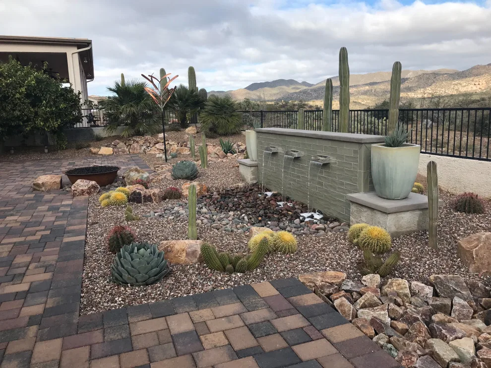 Tucson's Winter Magic by Santa Rita Landscaping, Inc. - Photo 2