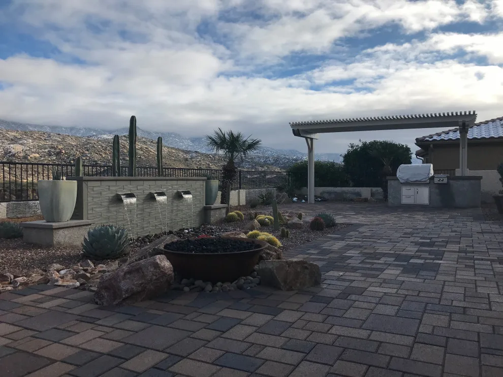 Tucson's Winter Magic by Santa Rita Landscaping, Inc. - Photo 6