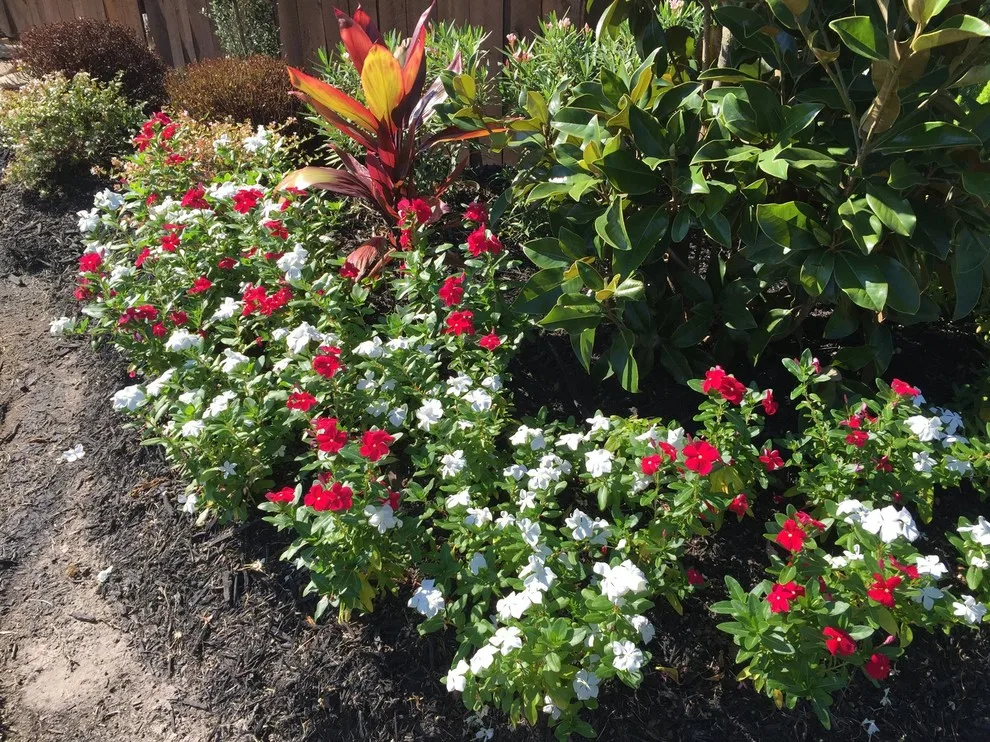 Classic Landscaping by Twisted Vines Lawn & Landscaping - Photo 4