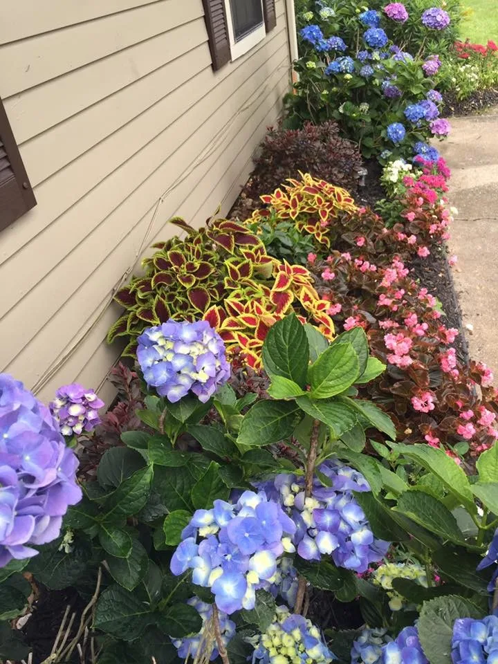 Classic Landscaping by Twisted Vines Lawn & Landscaping - Photo 3