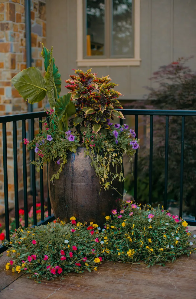 Rost, Inc. - Photo 5