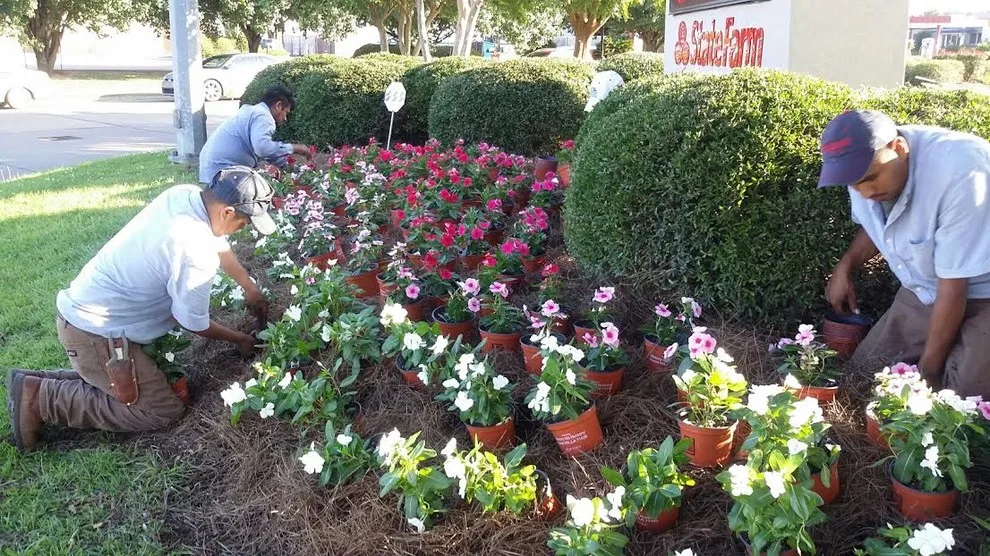 Louisiana Horticulture Services - Photo 6