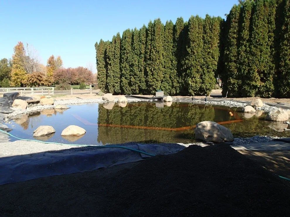 Walla Walla Organic Swimming Hole by Musser Landscaping - Photo 9