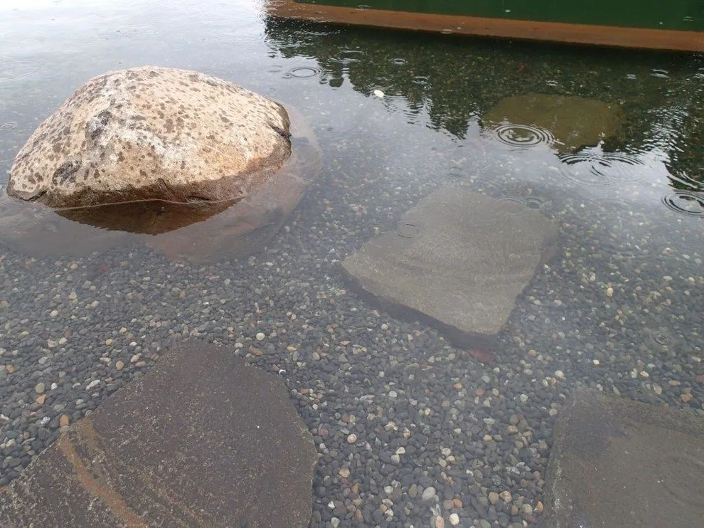 Musser Landscaping - Photo 8