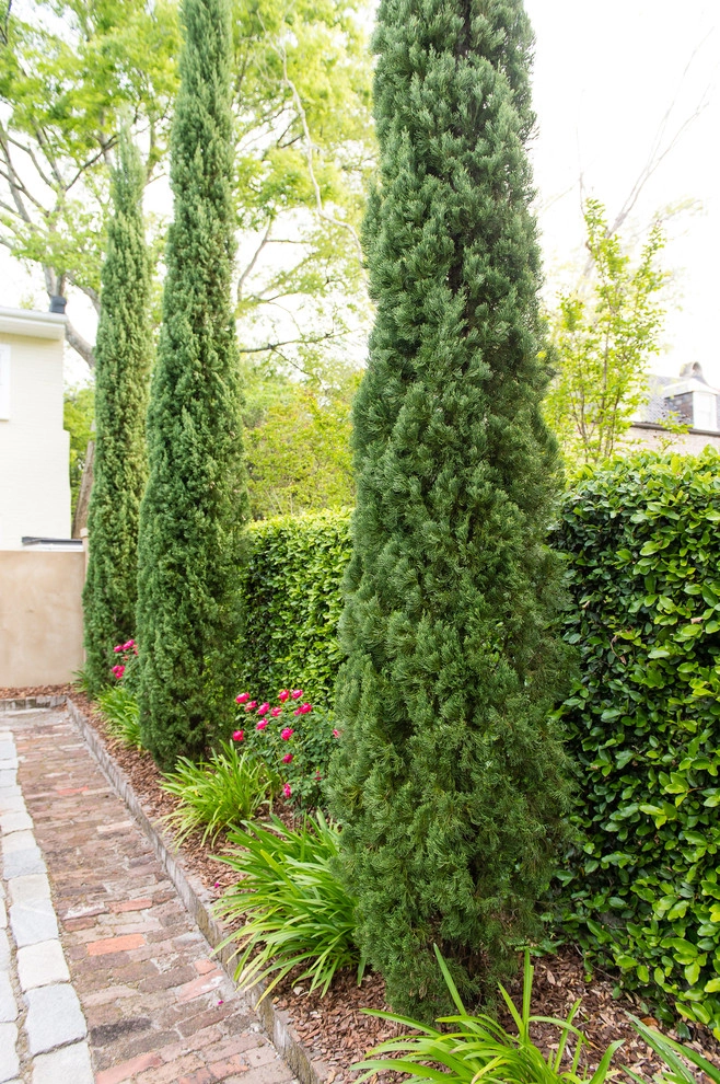 Formal Roots by Carolina Landscape, Inc. - Photo 18
