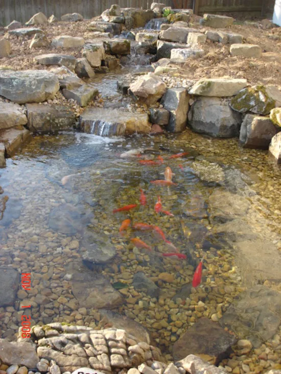Lukescaping - Photo 4