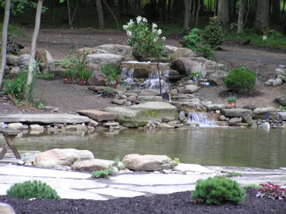 Aquatic Elements by David Spencer Professional Landscaping Services - Photo 9