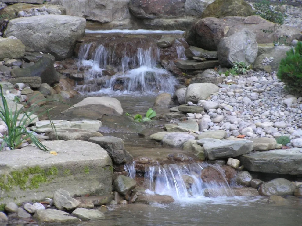 Aquatic Elements by David Spencer Professional Landscaping Services - Photo 31
