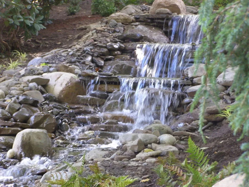 Aquatic Elements by David Spencer Professional Landscaping Services - Photo 20