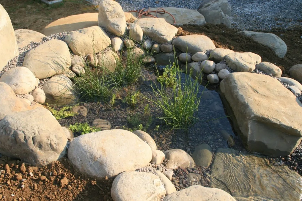 Aquatic Elements by David Spencer Professional Landscaping Services - Photo 17