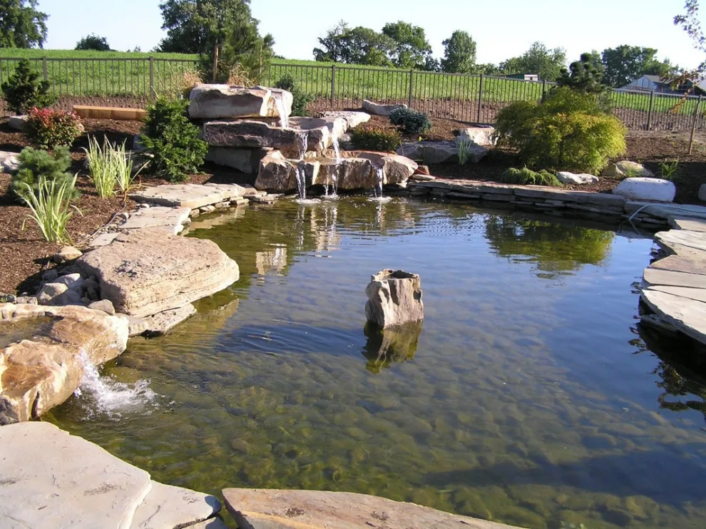 Aquatic Elements by David Spencer Professional Landscaping Services - Photo 4