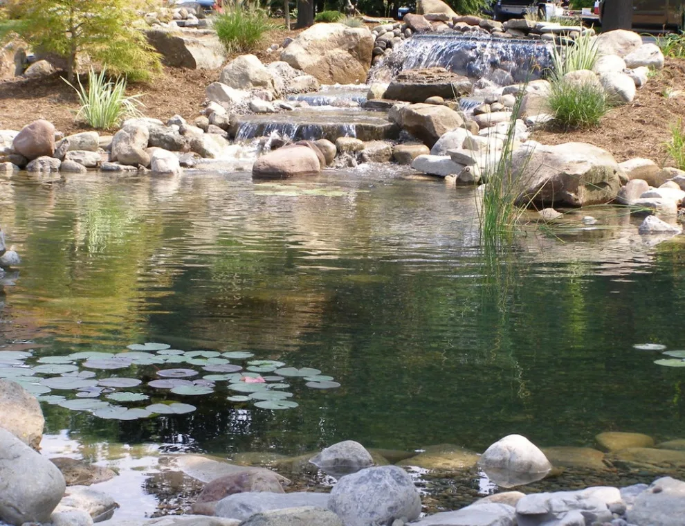 Aquatic Elements by David Spencer Professional Landscaping Services - Photo 5