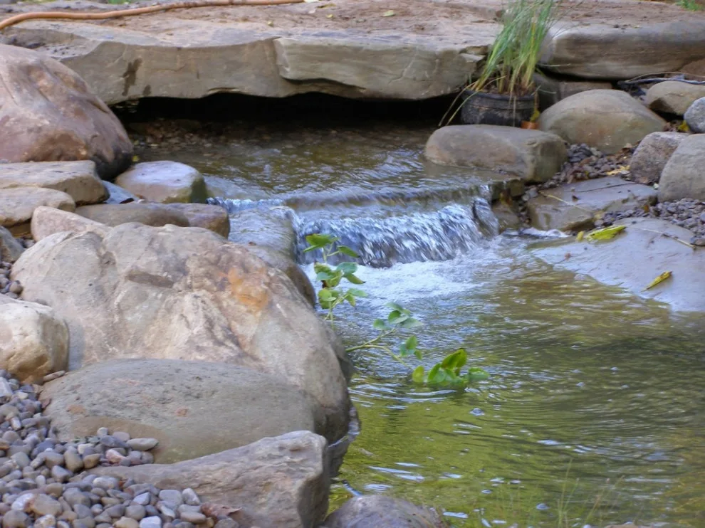 Aquatic Elements by David Spencer Professional Landscaping Services - Photo 12