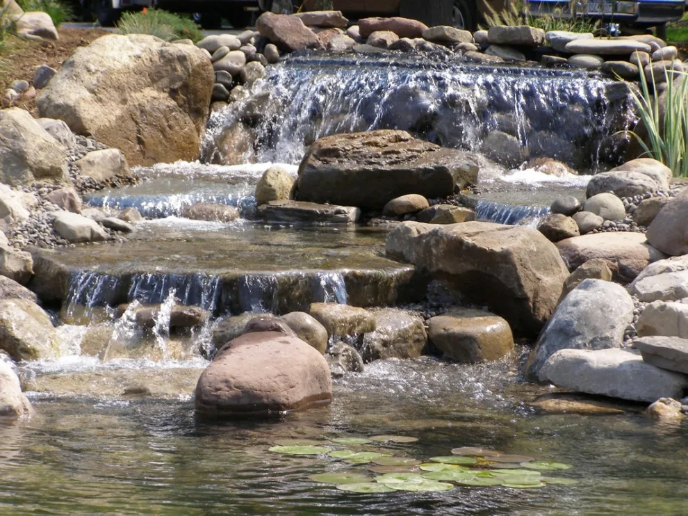 Aquatic Elements by David Spencer Professional Landscaping Services - Photo 15