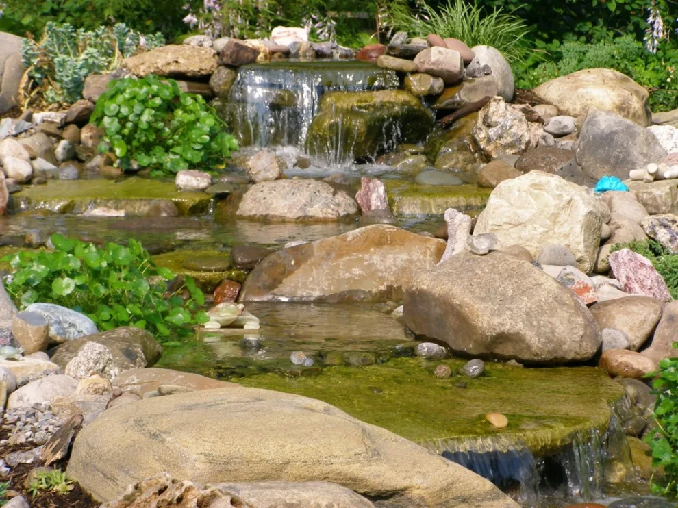 Aquatic Elements by David Spencer Professional Landscaping Services - Photo 19