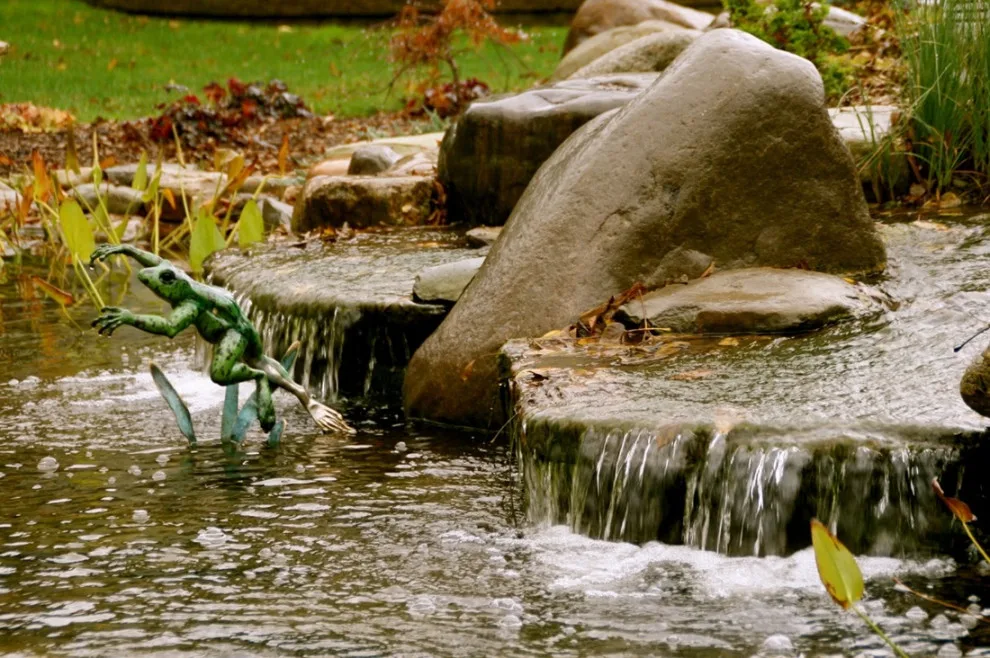 Aquatic Elements by David Spencer Professional Landscaping Services - Photo 13