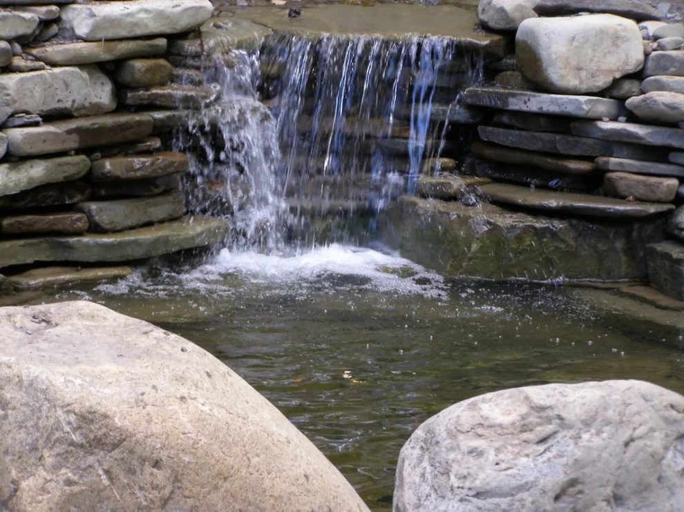 Aquatic Elements by David Spencer Professional Landscaping Services - Photo 3