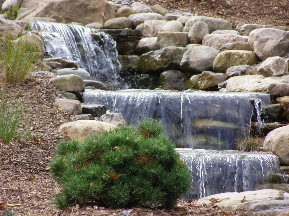 Aquatic Elements by David Spencer Professional Landscaping Services - Photo 16
