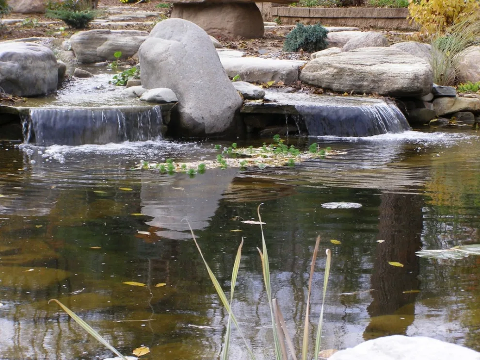 Aquatic Elements by David Spencer Professional Landscaping Services - Photo 7
