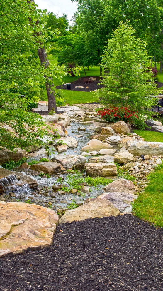 Aquatic Elements by Naturescape Inc. - Photo 10