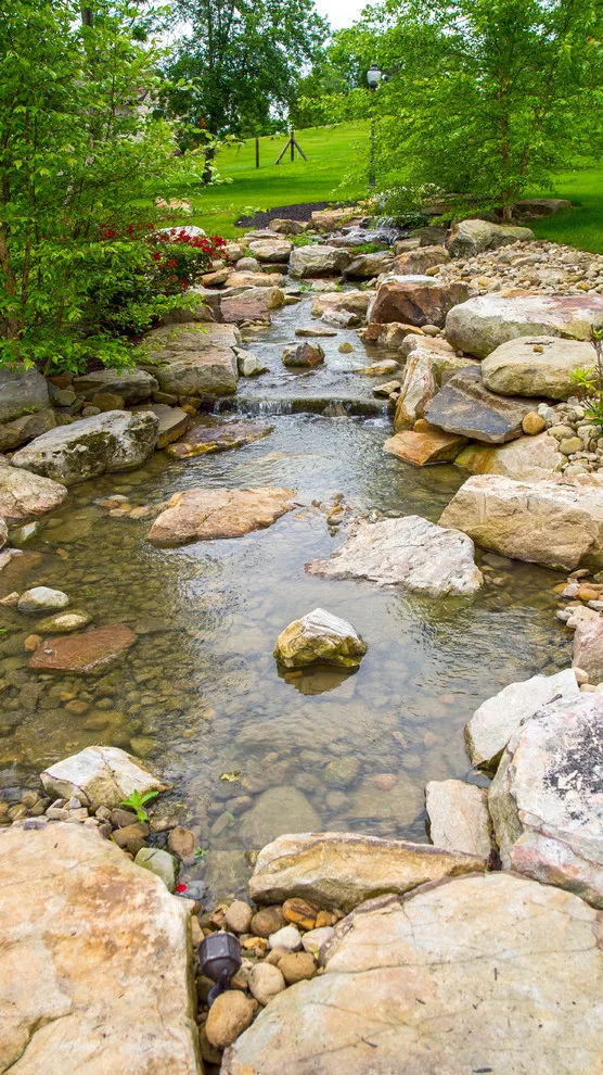 Aquatic Elements by Naturescape Inc. - Photo 12