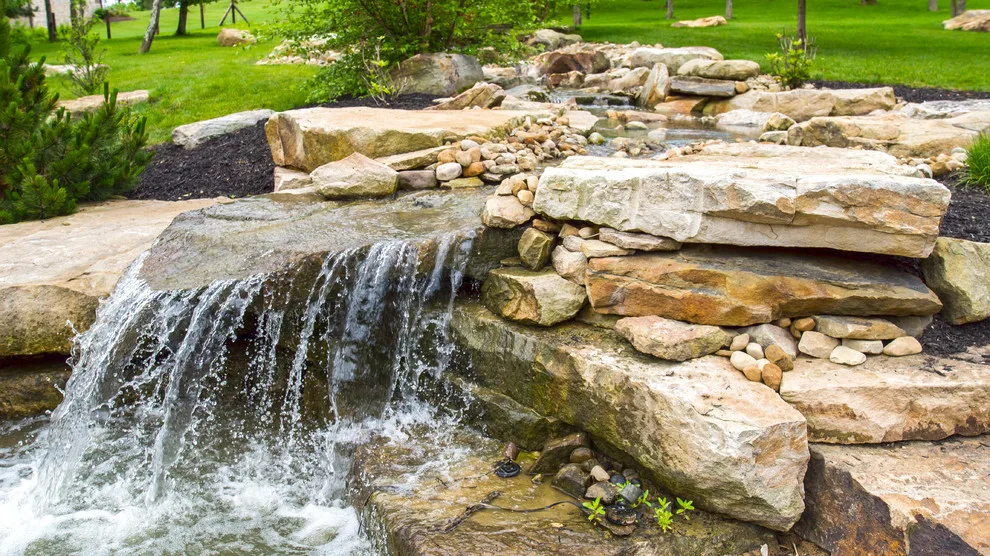 Aquatic Elements by Naturescape Inc. - Photo 14