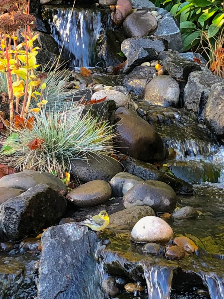 Aqua Elements by LandArc Landscaping & Design - Photo 11