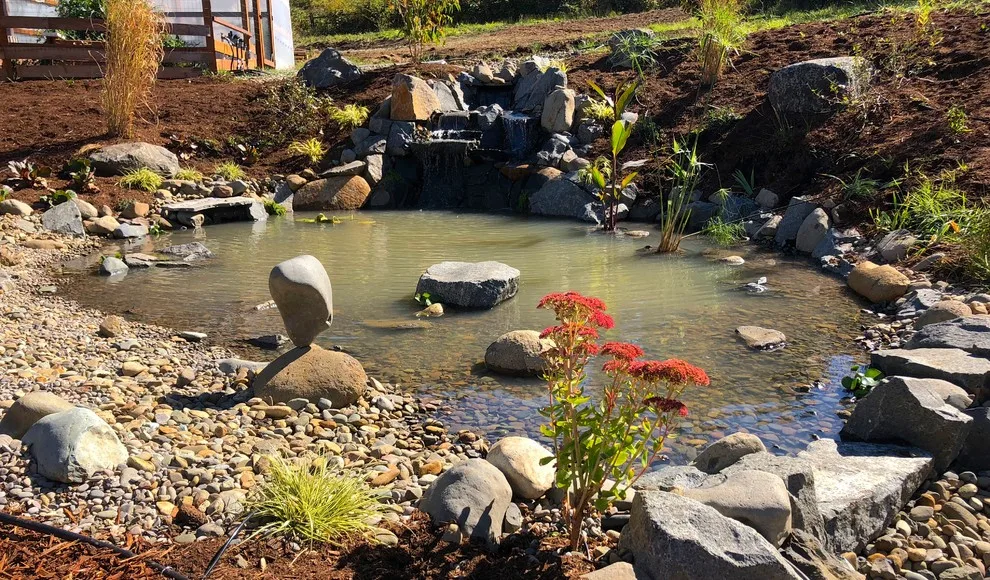 Aqua Elements by LandArc Landscaping & Design - Photo 5