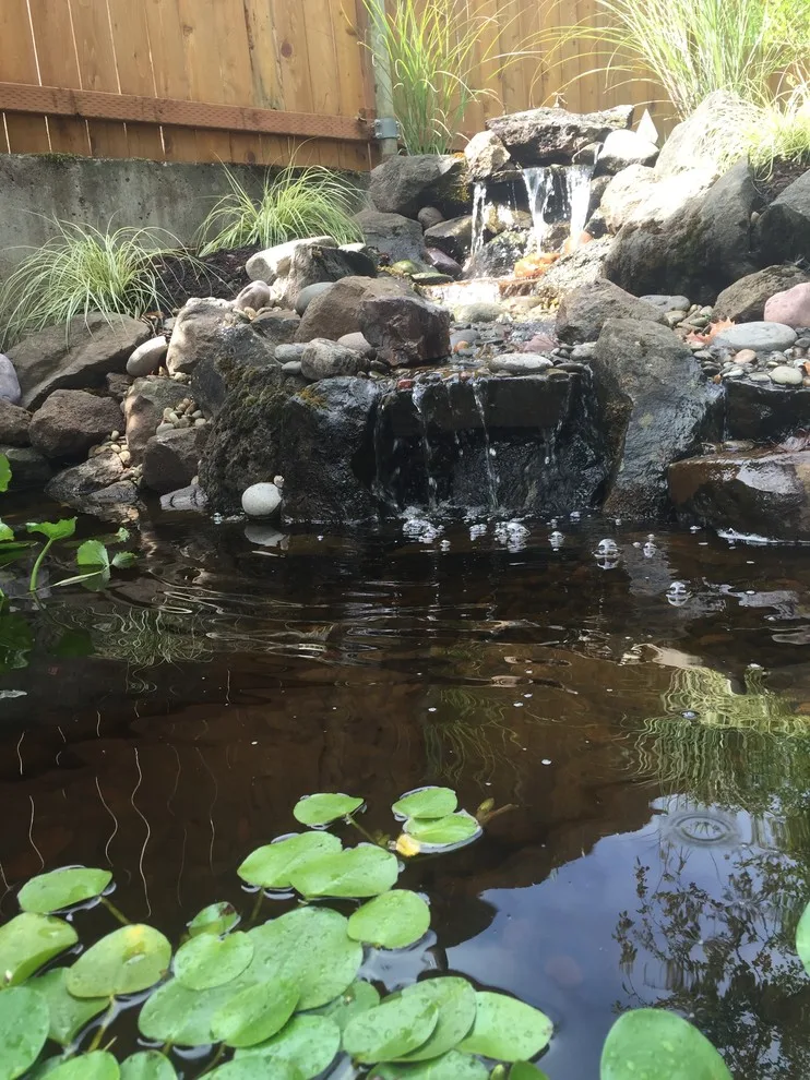 Aqua Elements by LandArc Landscaping & Design - Photo 3