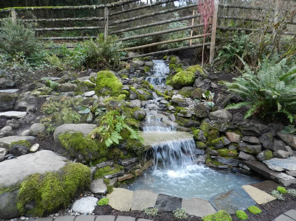 Aquatic Installations by Graham Landscape And Design - Photo 5