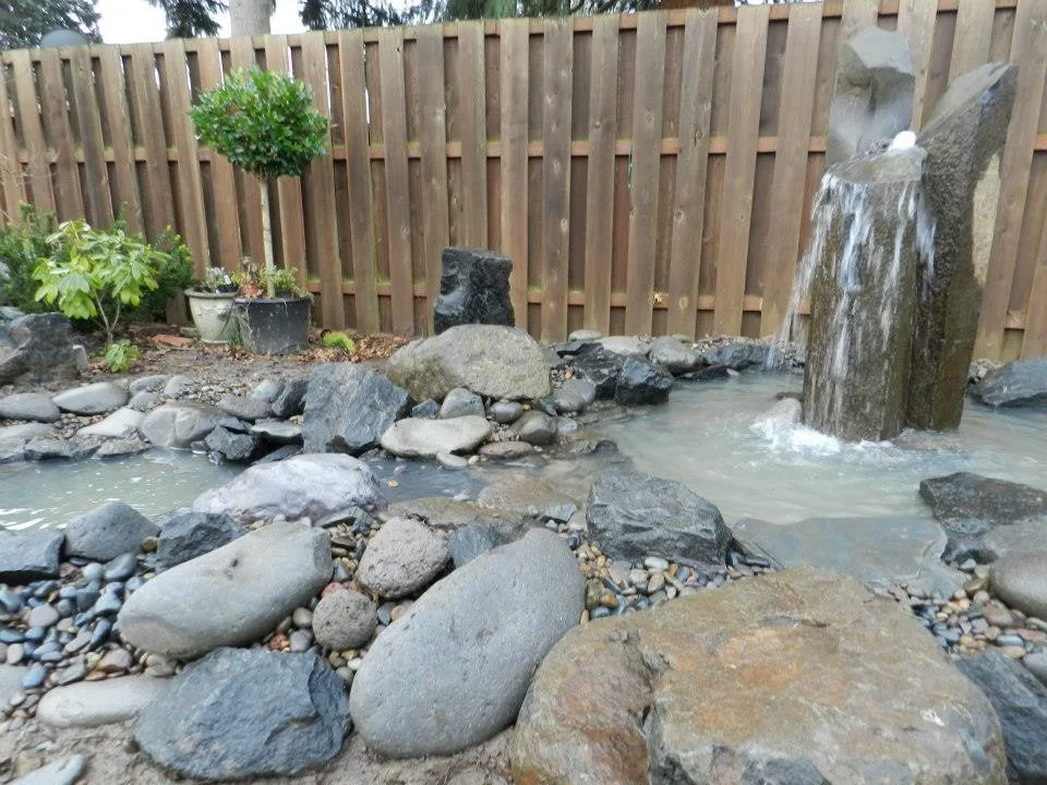 Aquatic Installations by Graham Landscape And Design - Photo 4