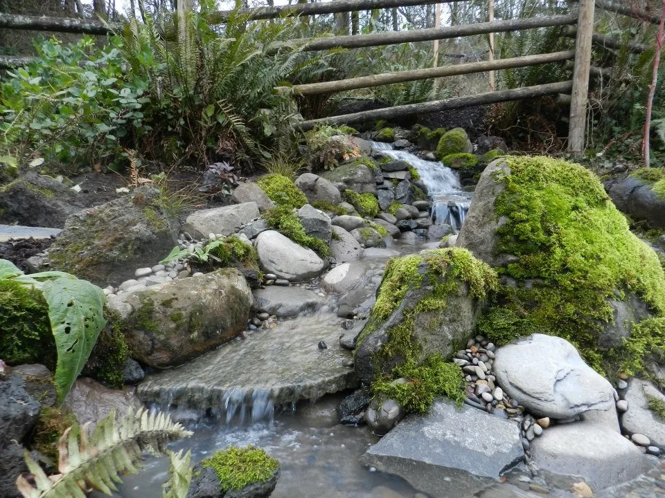 Aquatic Installations by Graham Landscape And Design - Photo 6