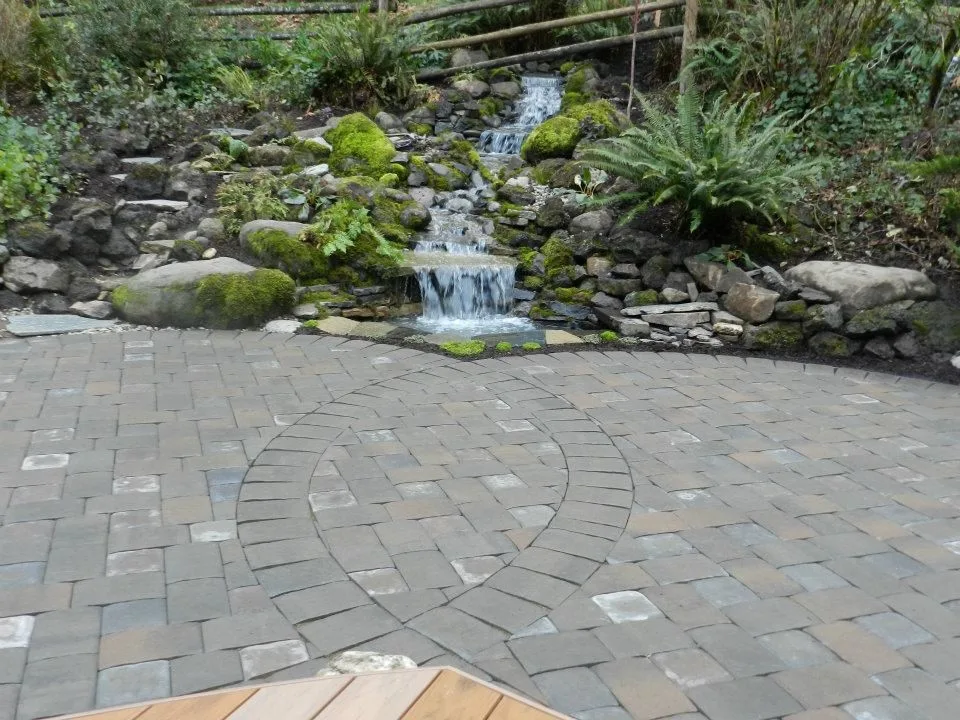 Aquatic Installations by Graham Landscape And Design - Photo 13