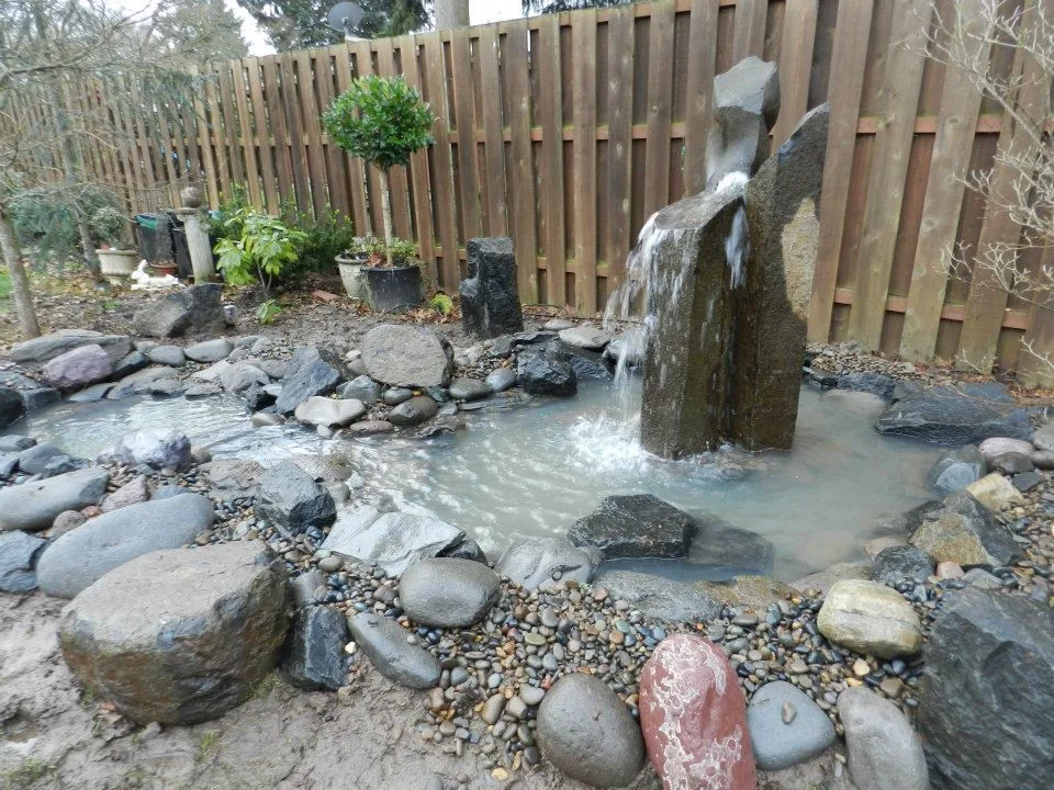 Aquatic Installations by Graham Landscape And Design - Photo 3