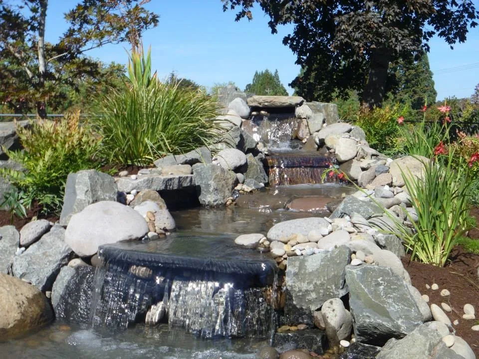 Aquatic Installations by Graham Landscape And Design - Photo 9