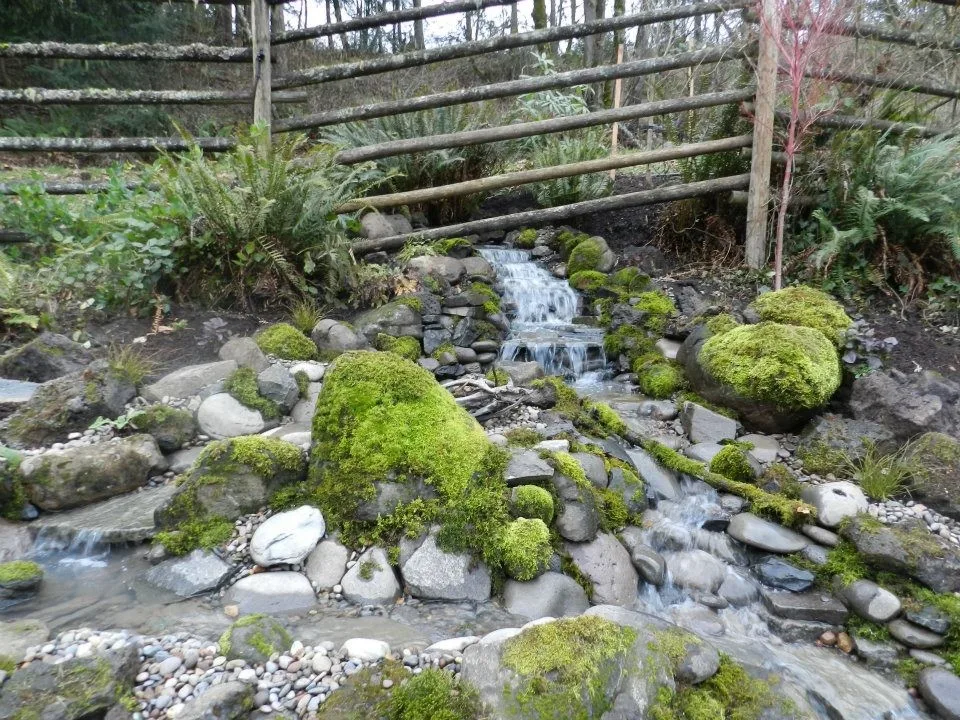 Aquatic Installations by Graham Landscape And Design - Photo 12