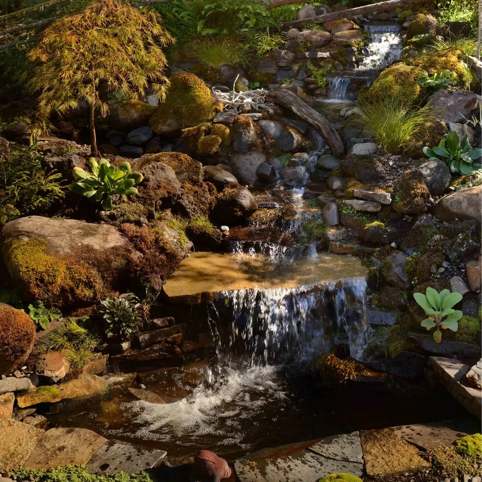 Aquatic Installations by Graham Landscape And Design - Photo 2