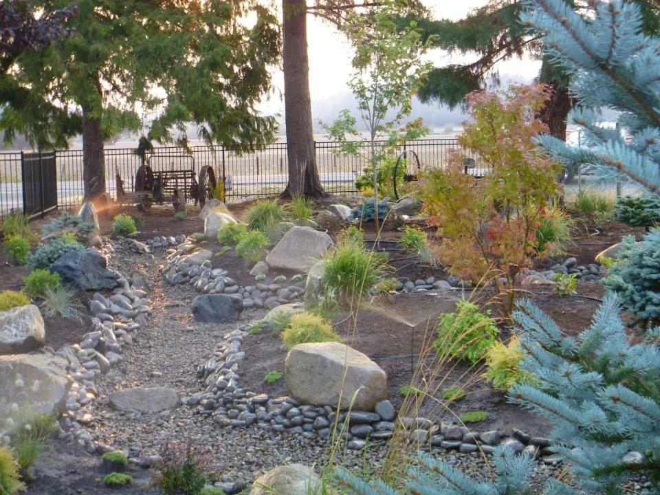 Aquatic Installations by Graham Landscape And Design - Photo 11