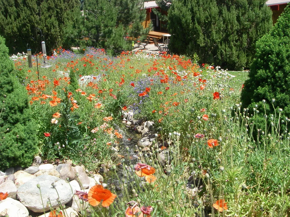 Green Thumb Horticultural - Photo 6