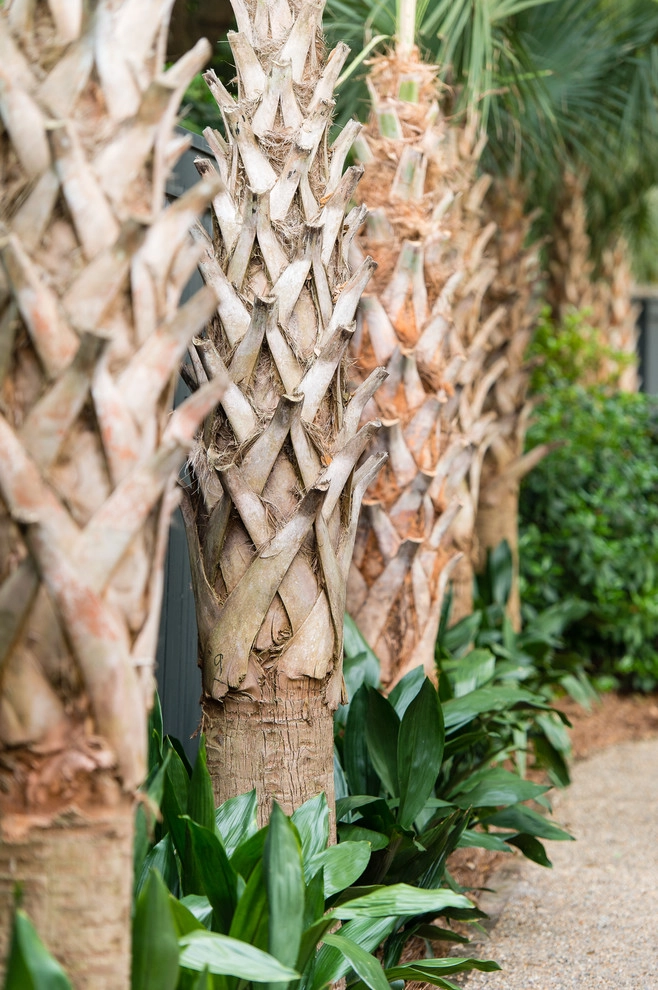 Low Country Rustic by Carolina Landscape, Inc. - Photo 5