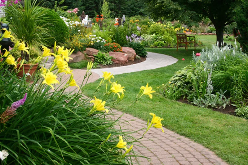 Nature's Canvas Initiatives by Naturescape Landscape & Irrigation LLC - Photo 4