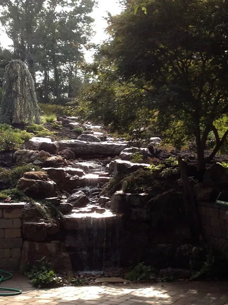 Nature's Canvas Initiatives by Naturescape Landscape & Irrigation LLC - Photo 12