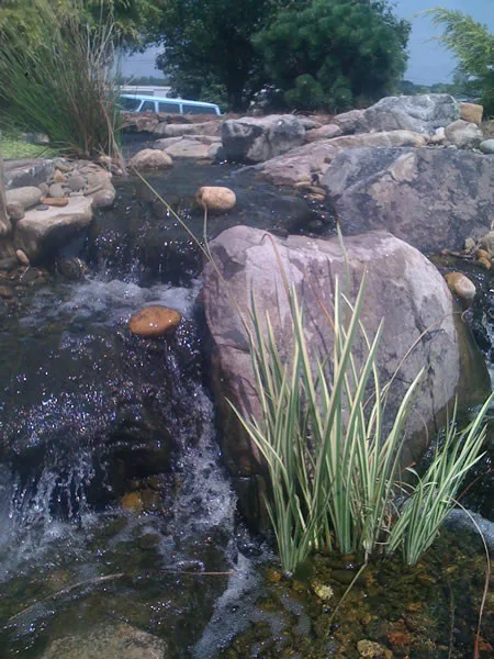 Nature's Canvas Initiatives by Naturescape Landscape & Irrigation LLC - Photo 3